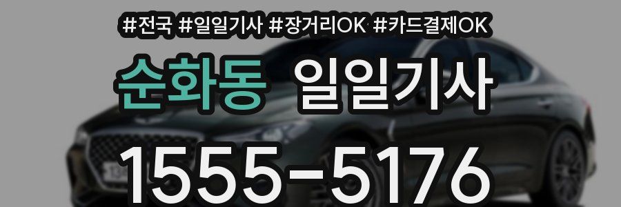 순화동 일일기사