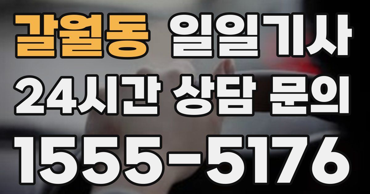 일일대리기사