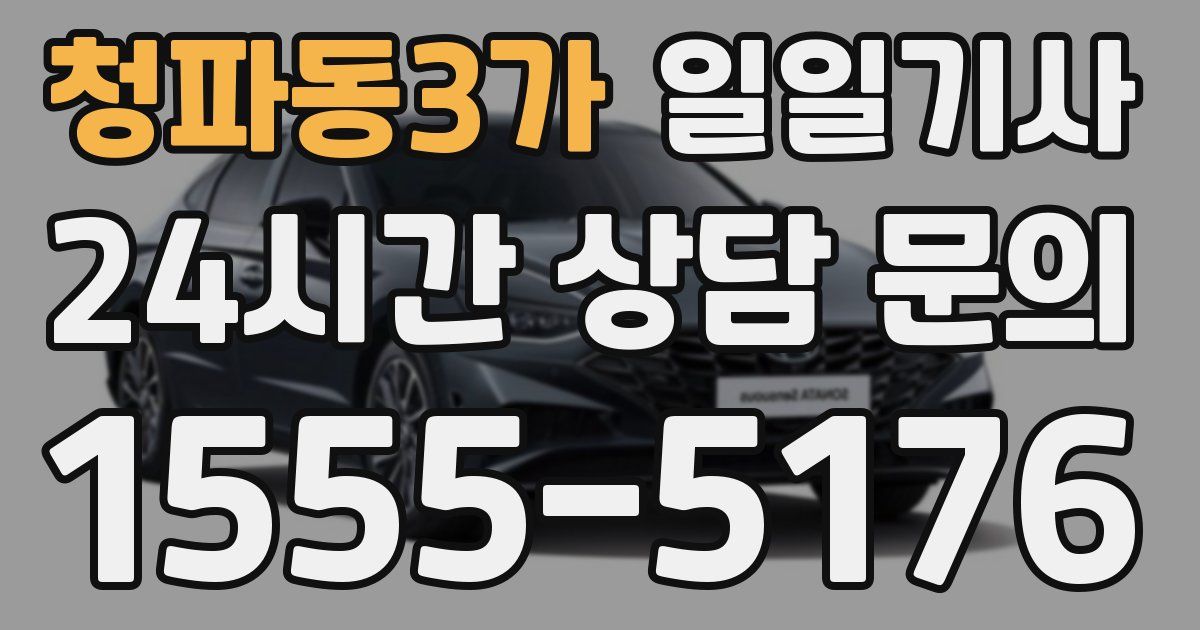 일일대리기사