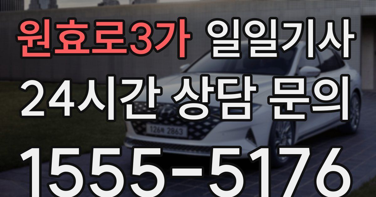 일일대리기사