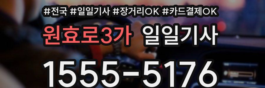 원효로3가 일일기사