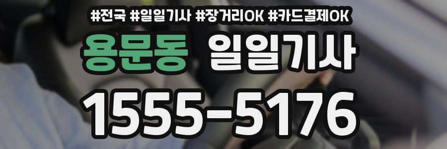 용문동 일일기사