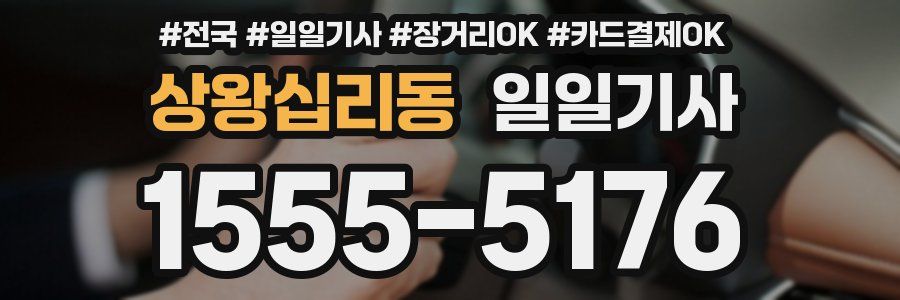 상왕십리동 일일기사