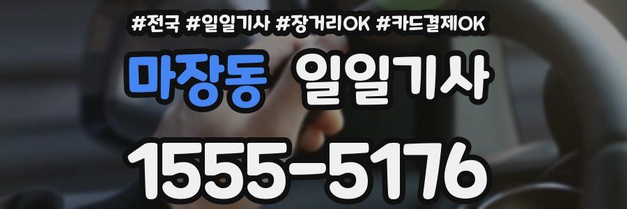 마장동 일일기사