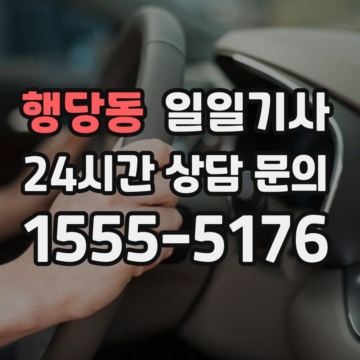 행당동 일일기사 데이터로 고른 경로가 든든해요