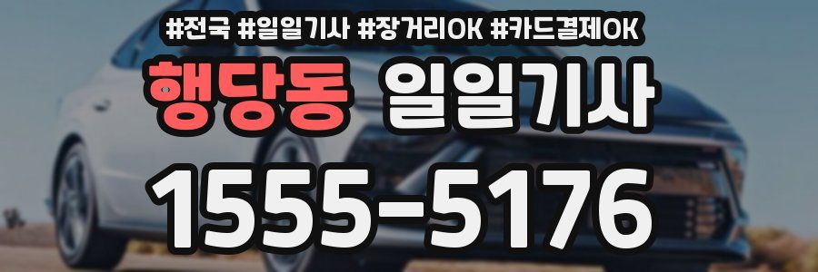 행당동 일일기사