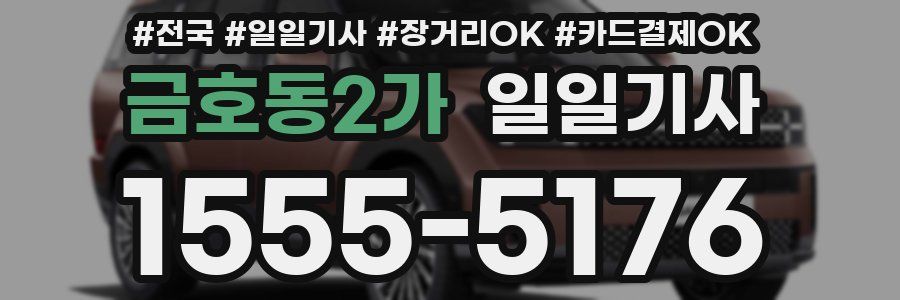 금호동2가 일일기사