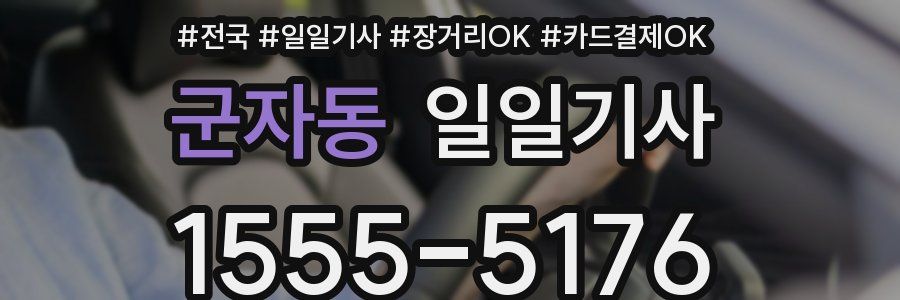 군자동 일일기사