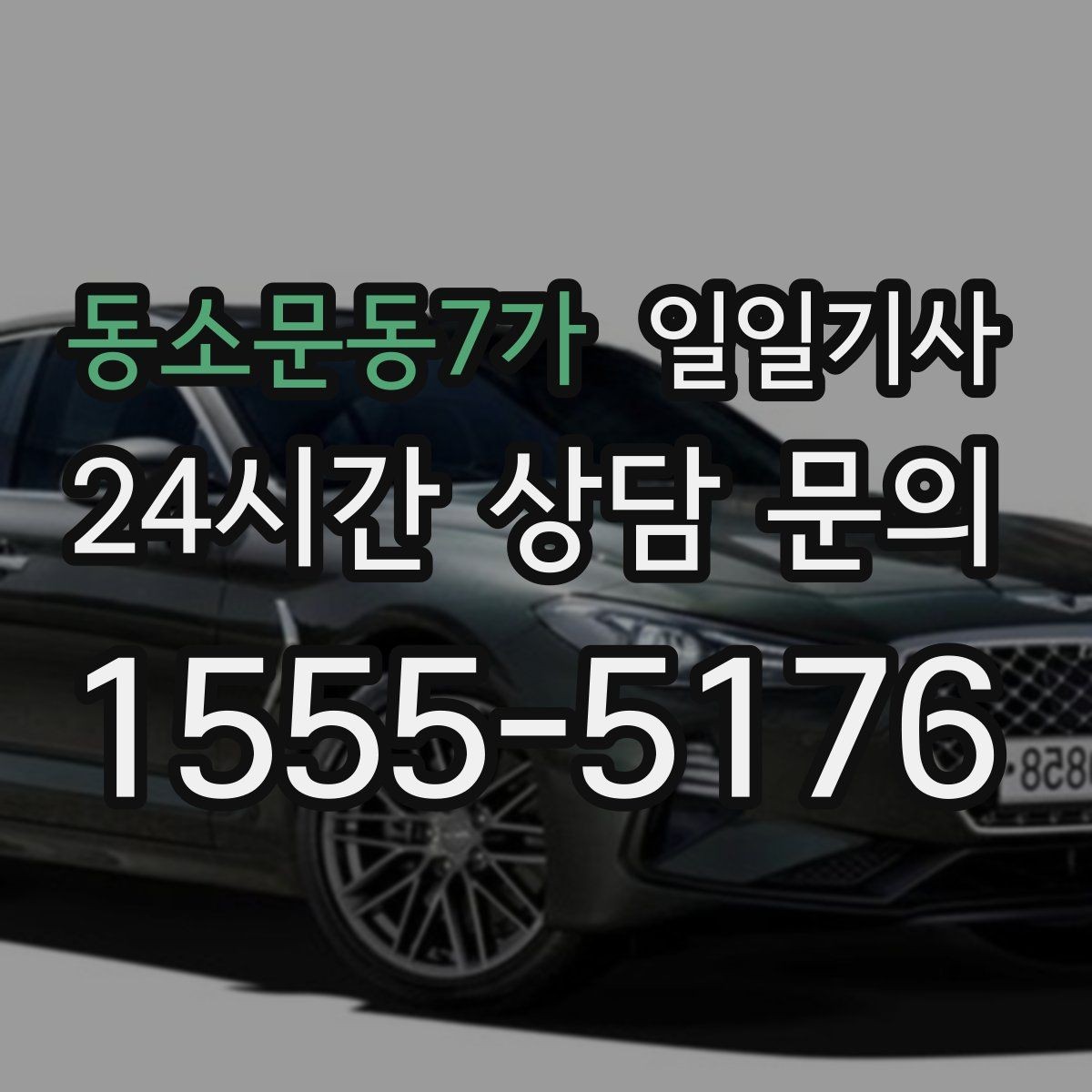 동소문동7가 일일기사 골프 라운드 전담 동행