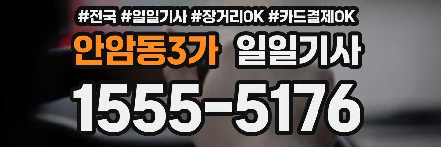 안암동3가 일일기사