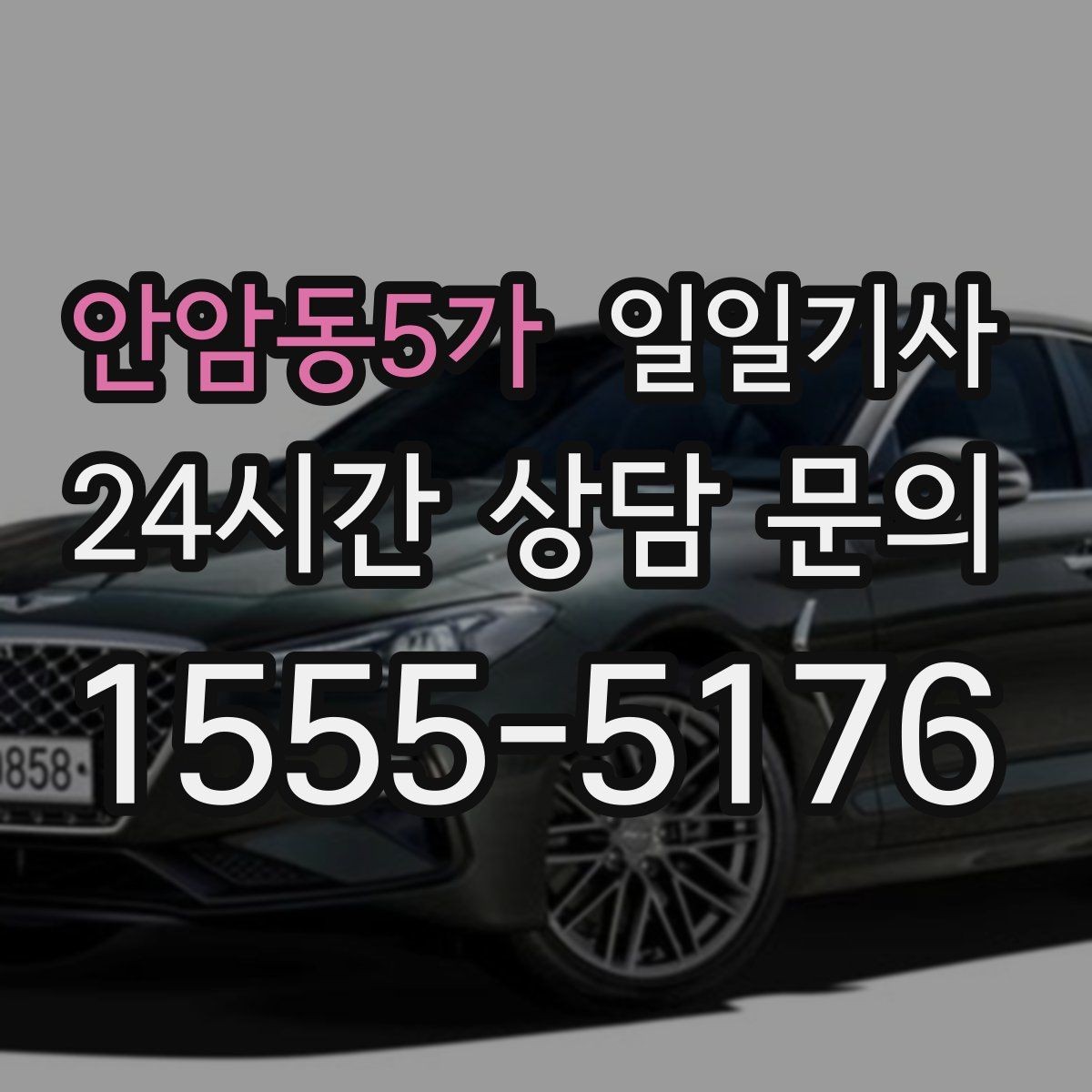 안암동5가 일일기사 도심 다중 경유 깔끔하게 완료