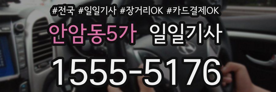 안암동5가 일일기사