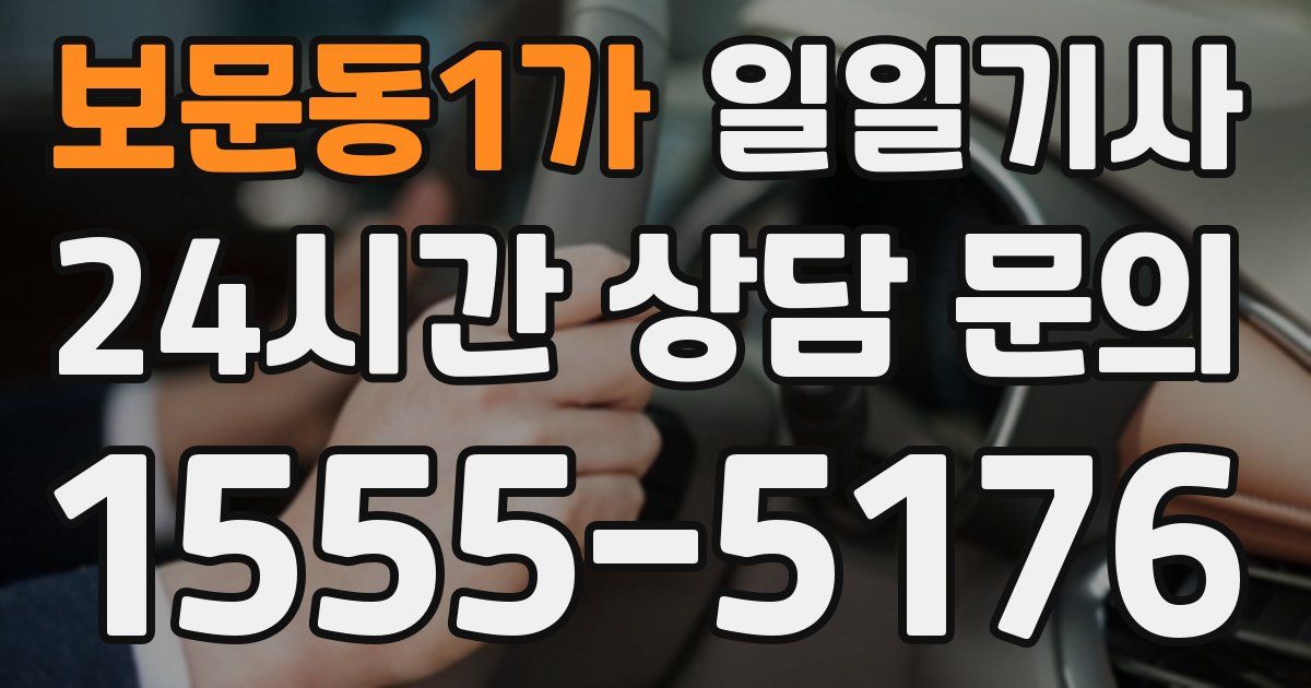 일일대리기사