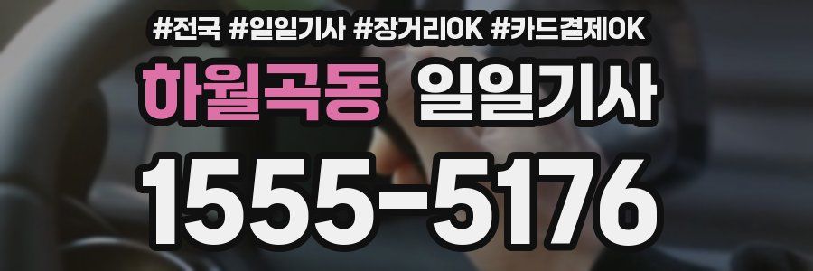 하월곡동 일일기사