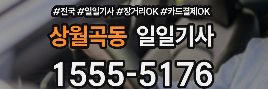 상월곡동 일일기사