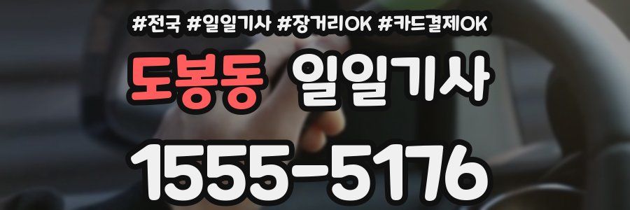 도봉동 일일기사