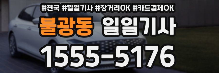 불광동 일일기사
