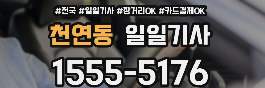 천연동 일일기사