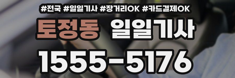 토정동 일일기사