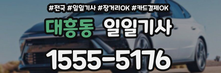 대흥동 일일기사