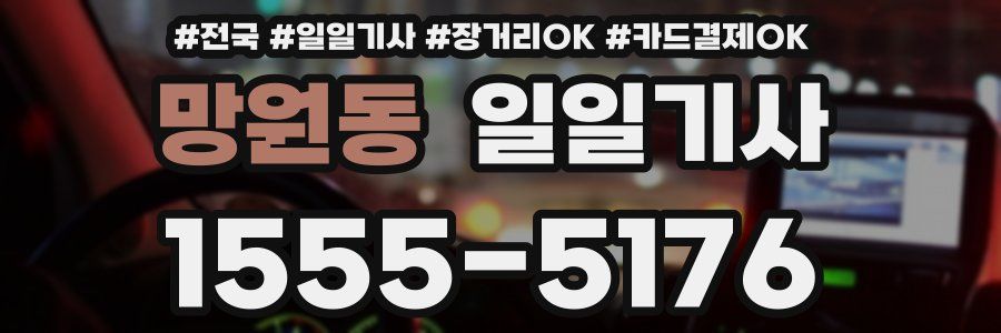 망원동 일일기사