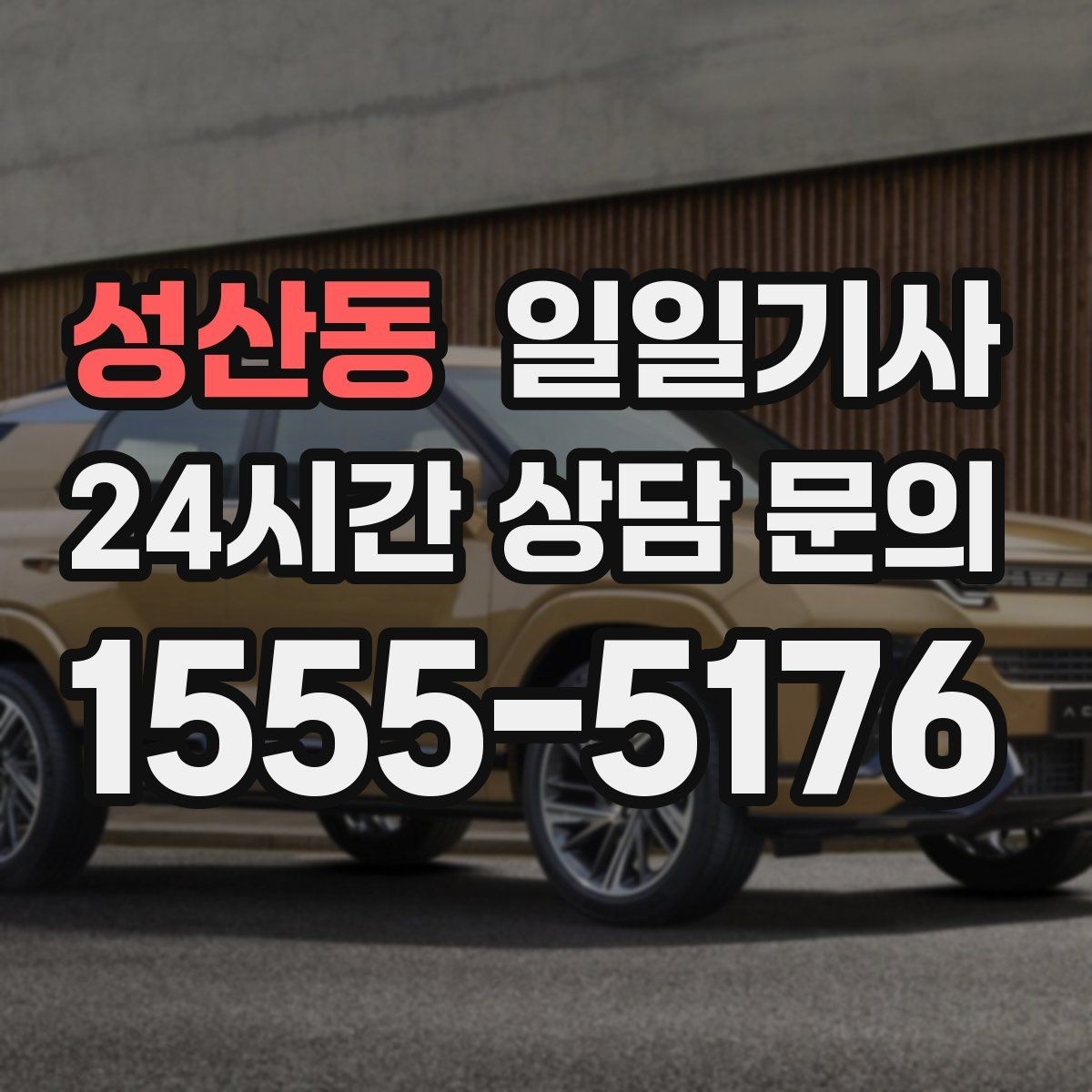 성산동 일일기사 하루 전담 동행 서비스