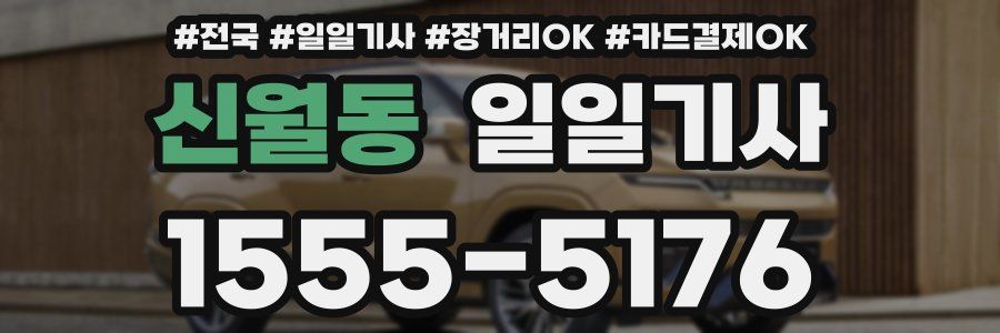 신월동 일일기사