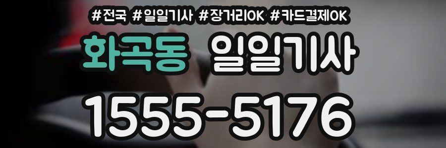 화곡동 일일기사