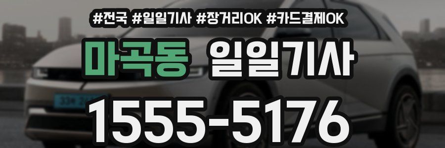 마곡동 일일기사