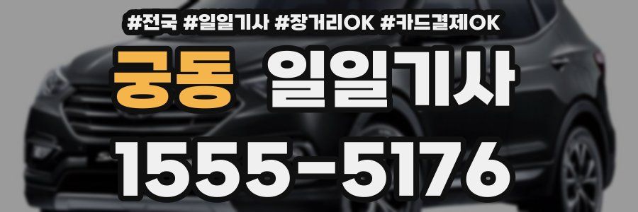 궁동 일일기사
