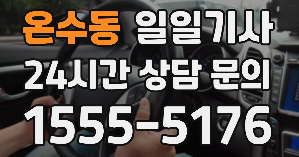 일일대리기사