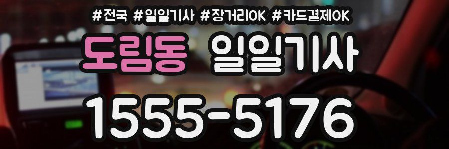 도림동 일일기사