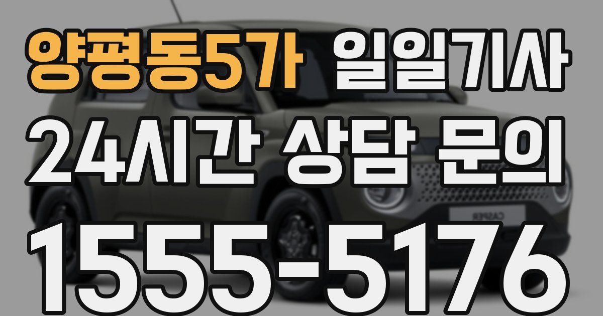일일대리기사