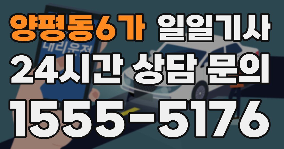 일일대리기사