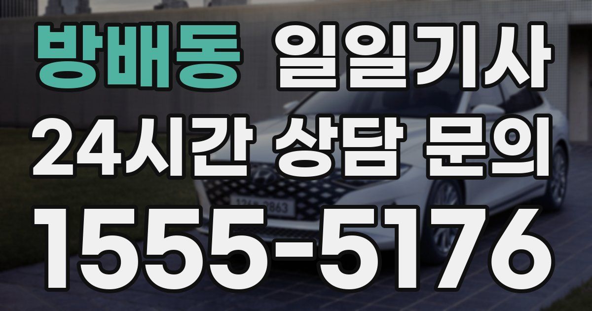 일일대리기사