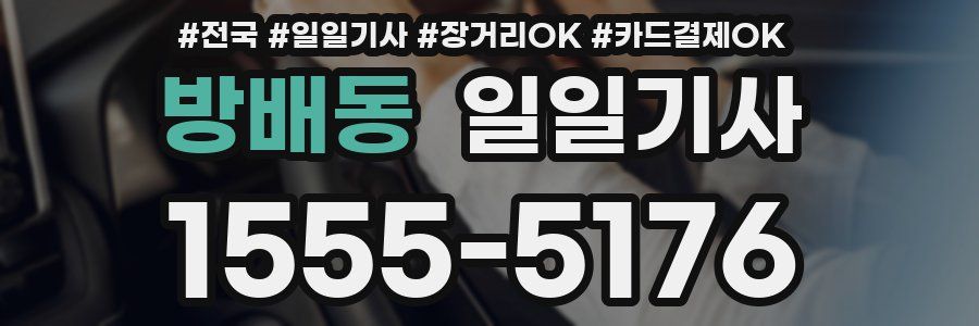 방배동 일일기사