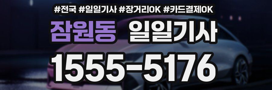 잠원동 일일기사