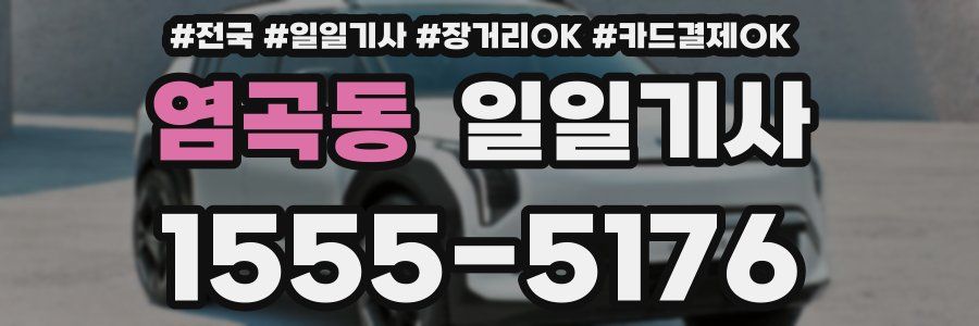 염곡동 일일기사