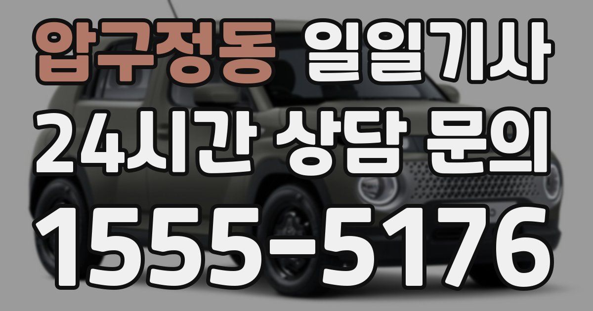 일일대리기사