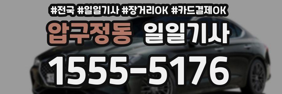 압구정동 일일기사