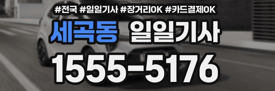 세곡동 일일기사