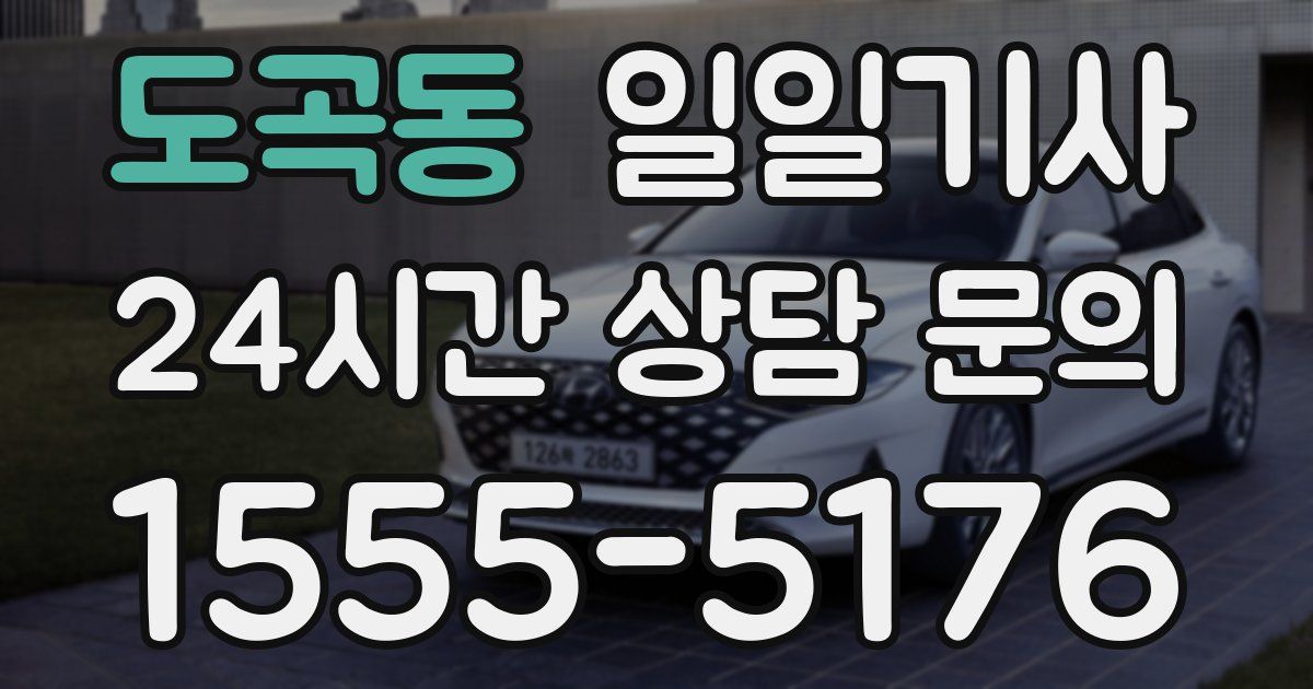 일일대리기사