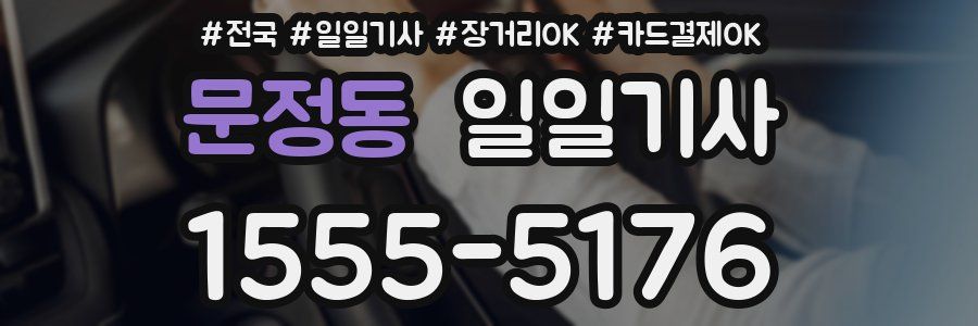 문정동 일일기사