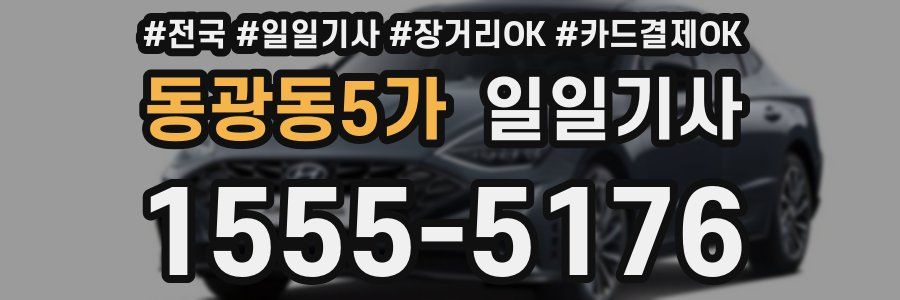 동광동5가 일일기사