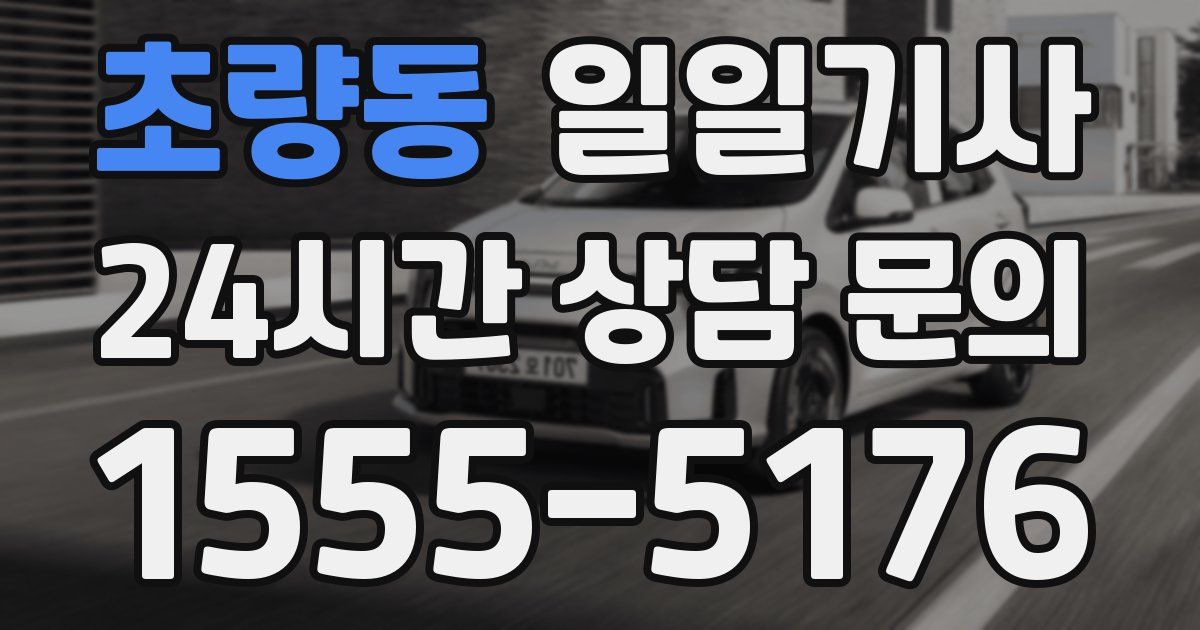 일일대리기사
