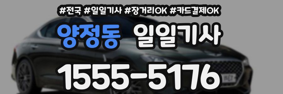 양정동 일일기사