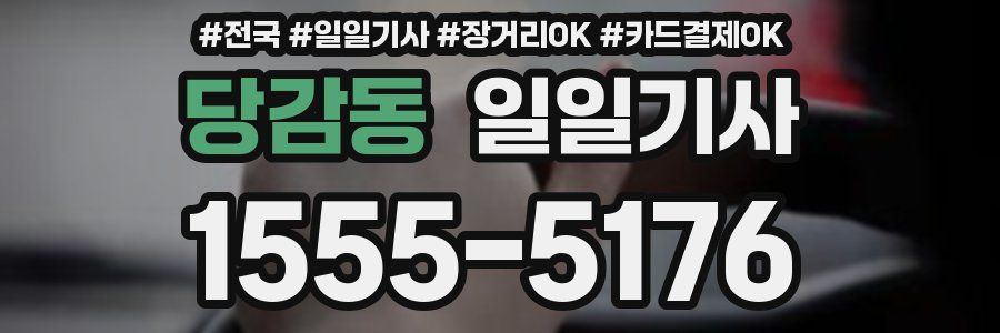 당감동 일일기사
