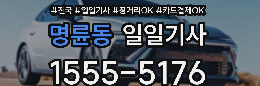 명륜동 일일기사