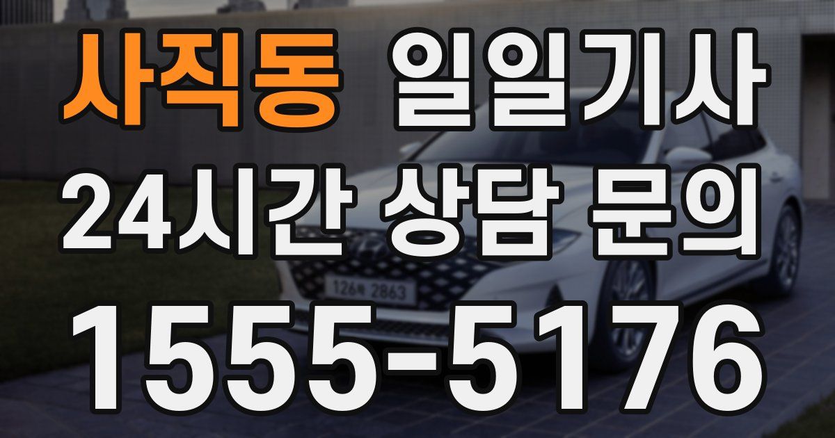 일일대리기사