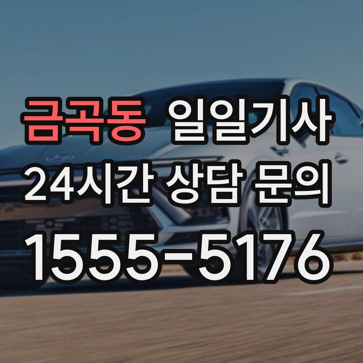 금곡동 일일기사 반일 전담 스케줄